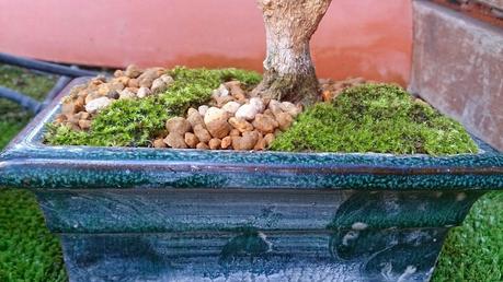 Trabajos de mantenimiento : limpiezas superficiales ,