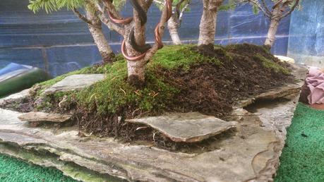 Trabajos de mantenimiento : limpiezas superficiales ,