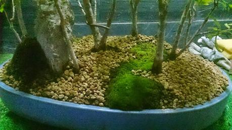 Trabajos de mantenimiento : limpiezas superficiales ,