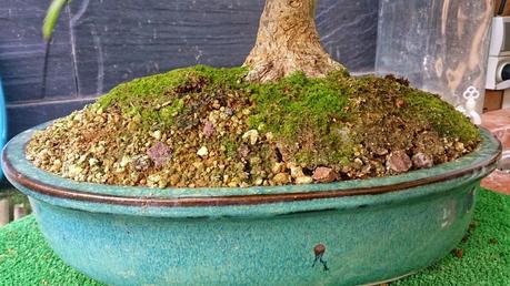 Trabajos de mantenimiento : limpiezas superficiales ,