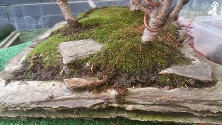 Trabajos de mantenimiento : limpiezas superficiales ,