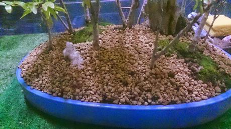 Trabajos de mantenimiento : limpiezas superficiales ,