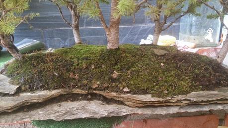 Trabajos de mantenimiento : limpiezas superficiales ,