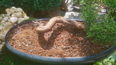 Trabajos de mantenimiento : limpiezas superficiales ,