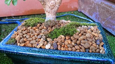 Trabajos de mantenimiento : limpiezas superficiales ,