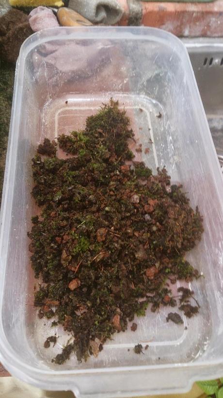 Trabajos de mantenimiento : limpiezas superficiales ,