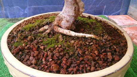 Trabajos de mantenimiento : limpiezas superficiales ,