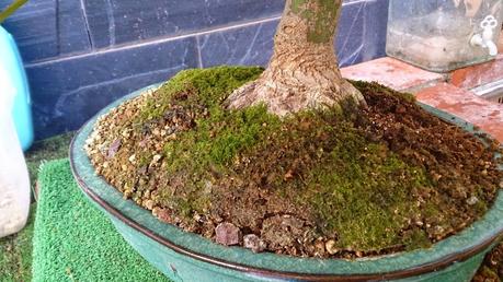 Trabajos de mantenimiento : limpiezas superficiales ,