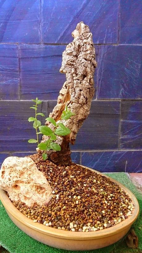 Un nuevo comienzo. Un nuevo comienzo.