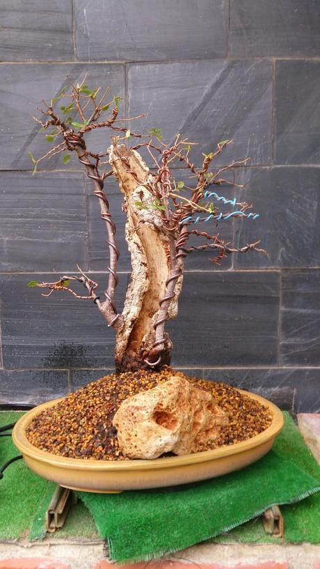 Un nuevo comienzo. Un nuevo comienzo.