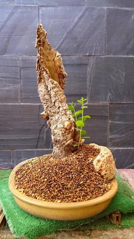 Un nuevo comienzo. Un nuevo comienzo.