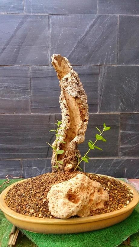 Un nuevo comienzo. Un nuevo comienzo.