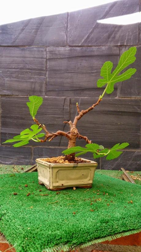 Los pequeños olvidados Los pequeños olvidados