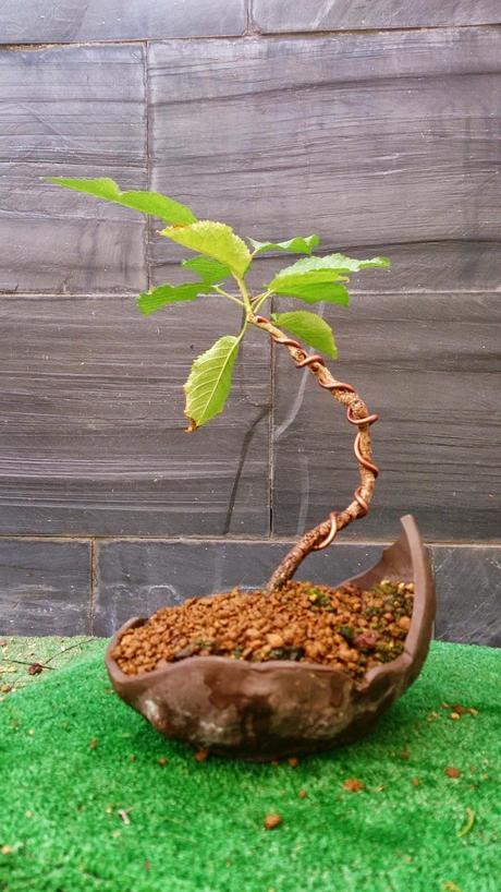 Los pequeños olvidados Los pequeños olvidados