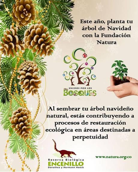 Derroche consumista, sinónimo de daño medioambiental unidos por los bosques, fundaciones natura