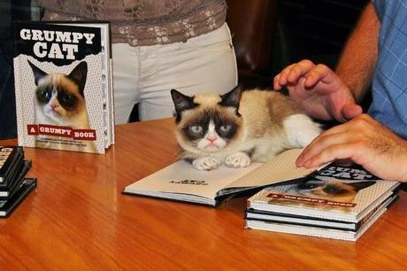 Grumpy Cat, el gato más rico del mundo.