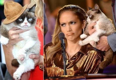 Así es el gato más rico del mundo: casi 100 millones de dólares en dos años.