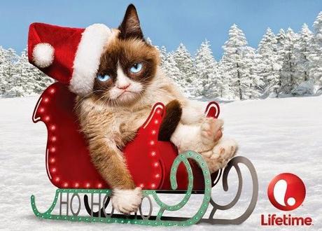 Grumpy Cat, el gato más rico del mundo.