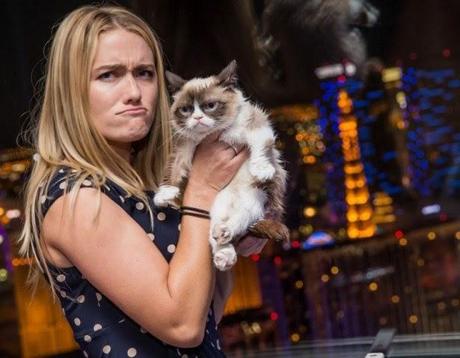 Grumpy Cat, el gato más rico del mundo.