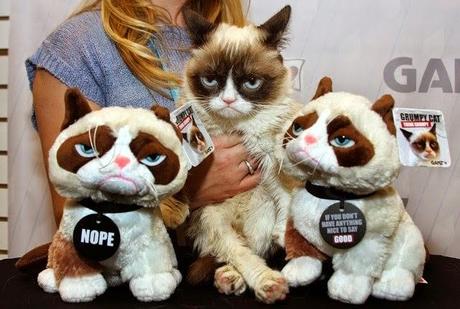Grumpy Cat, el gato más rico del mundo.