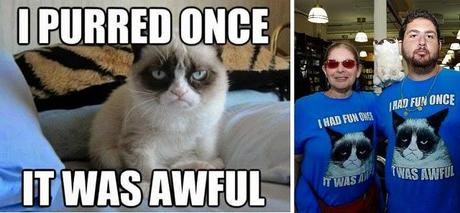 Así es el gato más rico del mundo: casi 100 millones de dólares en dos años.