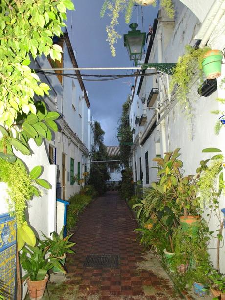 La Casa de las Flores (3).