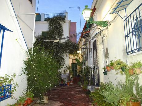 La Casa de las Flores (3).