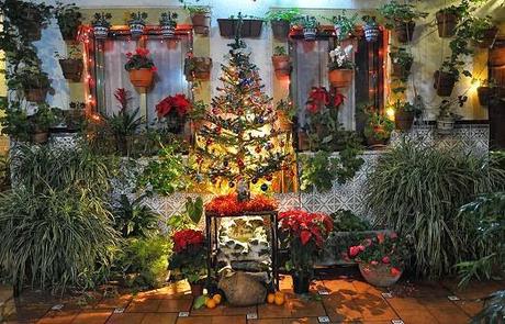 CÓRDOBA ESTÁ DE MODA