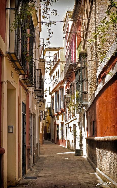 SEVILLA: BARRIO de SANTA CRUZ (Judería)