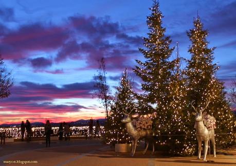 Donde empieza la magia