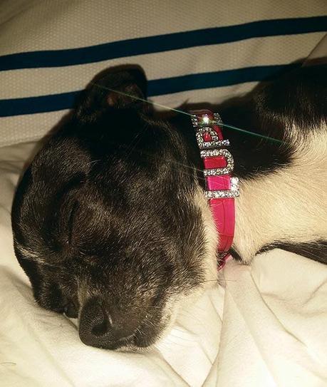 Un café con… Rodolfo Mcartney lupeonlyou3