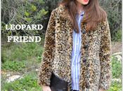 Leopard friend