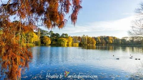 Reflexiones y fotografía de paisaje en otoño