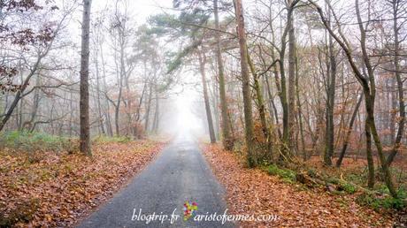 Paisaje de otoño en Francia