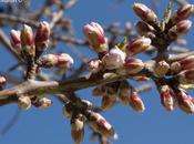 ¡¡¡¡ bienvenida primavera !!!!