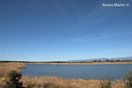 Embalse de Arrocampo, Saucedilla (Caceres)