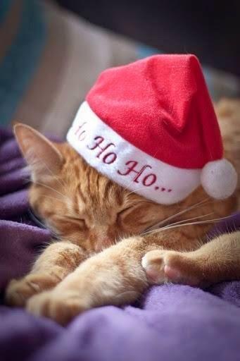 San Viernes prenavideño