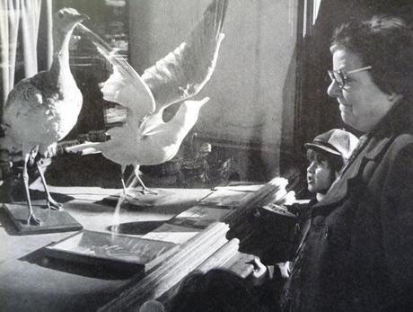 EL PARALEL, 9ª PART EN LA BARCELONA D' ABANS, D' AVUI I DE SEMPRE...19-12-2014...!!!