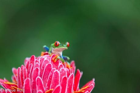 Resumen fotográfico del año 2014