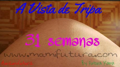 A Vista de Tripa XXVII