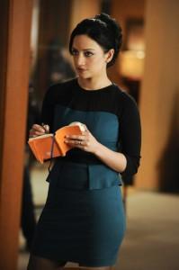 detectives privados en la serie The Good Wife