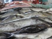 Reanudan plan para control calidad productos Mercado Cocos