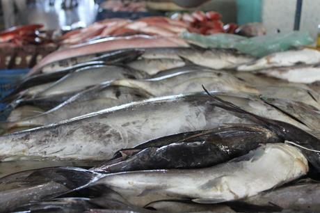 Reanudan plan para el control de calidad de los productos del Mercado de Los Cocos Reanudan plan para el control de calidad de los productos del Mercado de Los Cocos