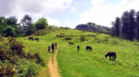 Paseos por Hirukurutzeta