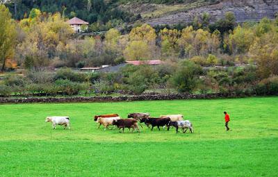 El valle de Echo