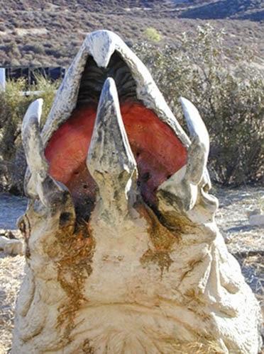 La extraña planta africana que se cree un hongo