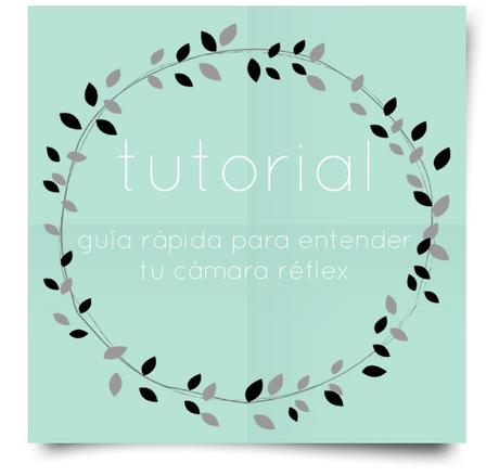 Tutorial de fotografía: una guía rápida para entender tu cámara réflex