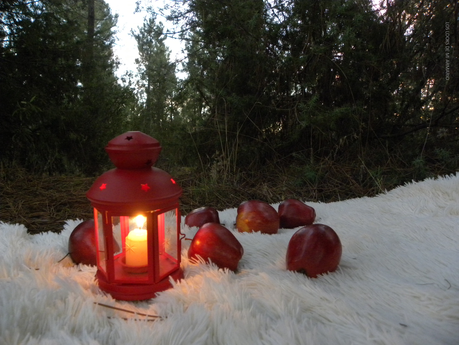 Cosmopolitan para todas · Volumen II