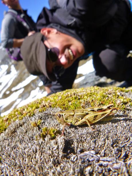 SENDERISMO EN LA ZONA DE QUEENSTOWN: LAKE ALTA