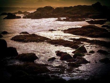 Sólo para ti, con tilde